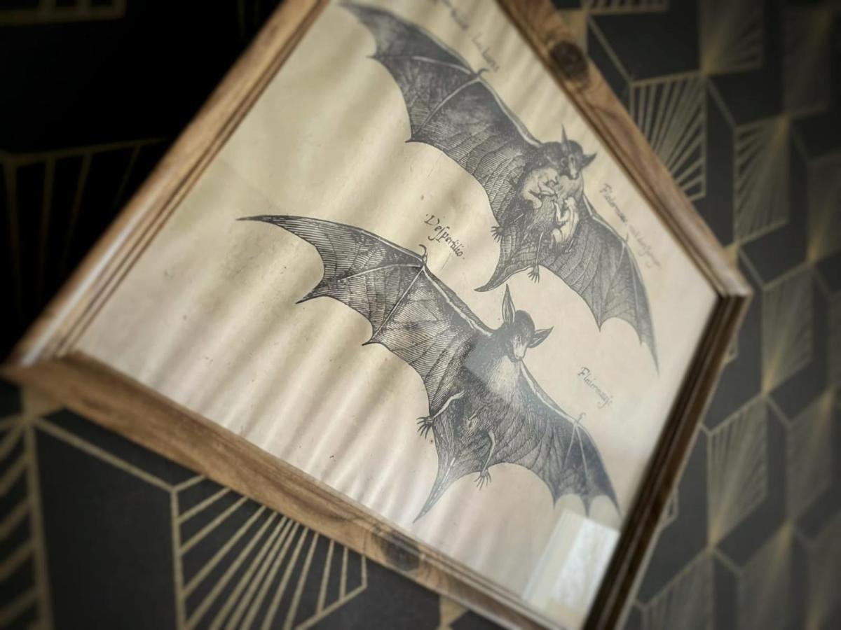 New - Bat'Appart - Dijon - Insolite Longvic Ngoại thất bức ảnh