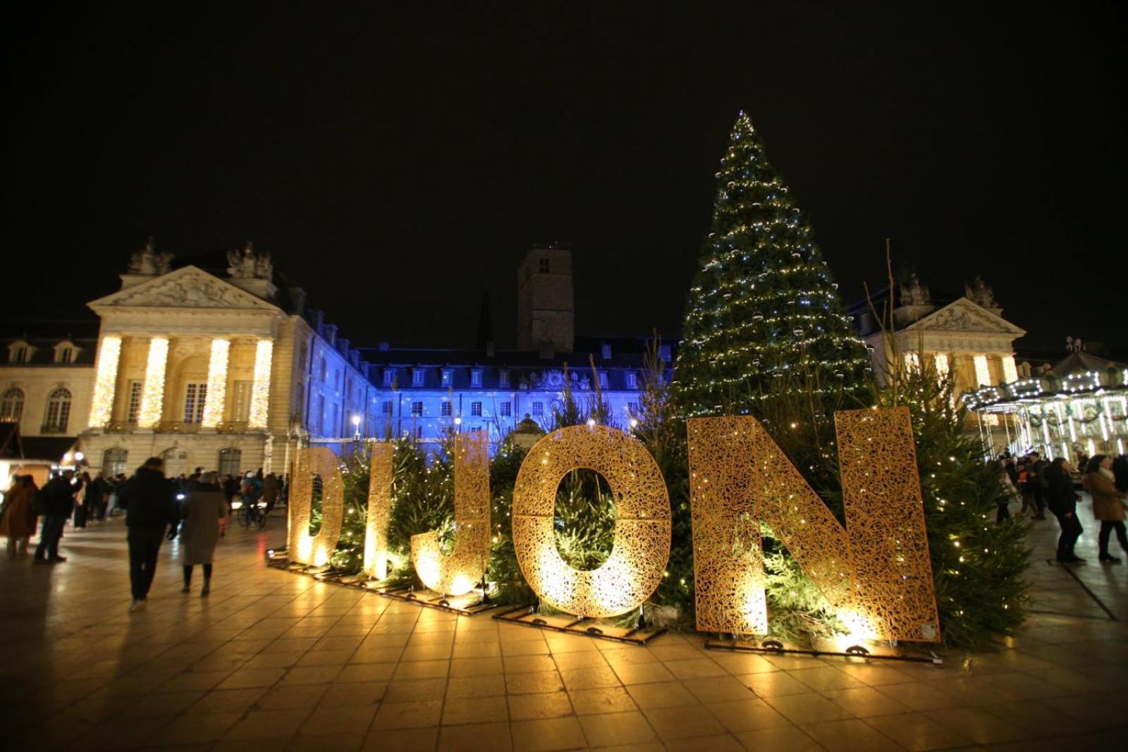 New - Bat'Appart - Dijon - Insolite Longvic Ngoại thất bức ảnh